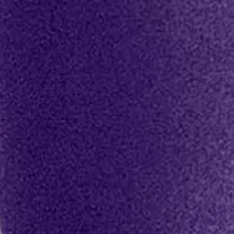 NBA Sacramento Kings 24 Ounce Team Colored Draft Tumbler