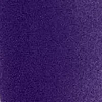 NBA Sacramento Kings 24 Ounce Team Colored Draft Tumbler