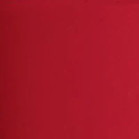 NCAA Alabama Crimson Tide 22oz New Skinny Tumbler
