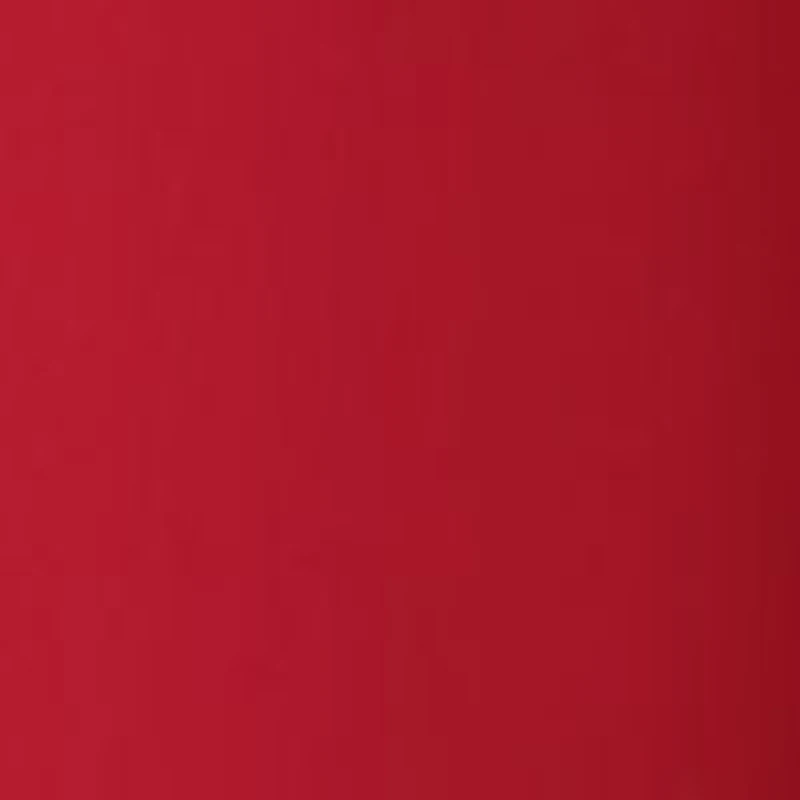 NC State Wolfpack NCAA NC State State Wolf Pack 22oz New Skinny Tumbler