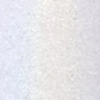 NFL Oakland Raiders 24 Ounce Opal Draft Tumbler