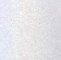 NCAA Florida Gators 24 Ounce Opal Draft Tumbler