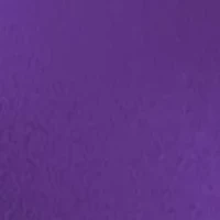 NCAA TCU Horned Frogs 18 Ounce Roadie Travel Tumbler 