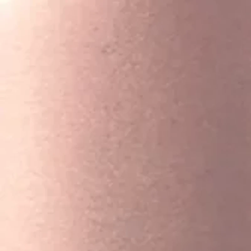 NFL Detroit Lions 24 Ounce Rose Gold Draft Tumbler