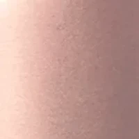 NFL Detroit Lions 24 Ounce Rose Gold Draft Tumbler