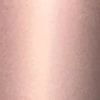 NBA Miami Heat 24 Ounce Rose Gold Draft Tumbler