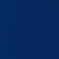 NCAA Memphis Tigers 22oz Tailgater Tumbler