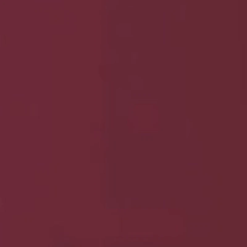 NCAA Florida State Seminoles 22oz Tailgater Tumbler