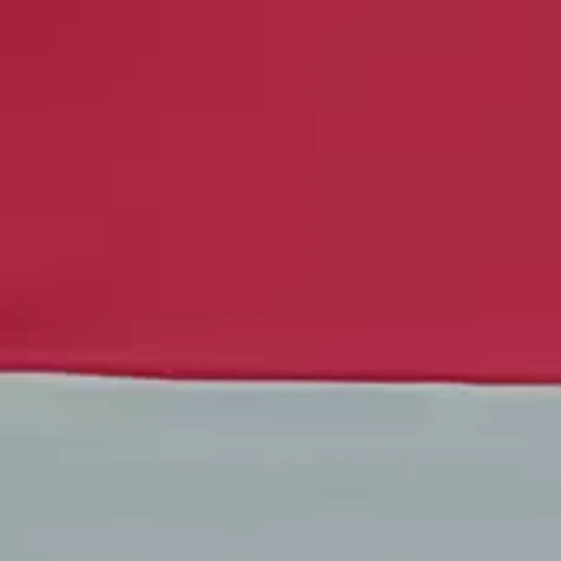 NCAA Alabama Crimson Tide 9 ft x 9 ft Economy Tent