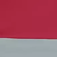 NCAA Alabama Crimson Tide 9 ft x 9 ft Economy Tent