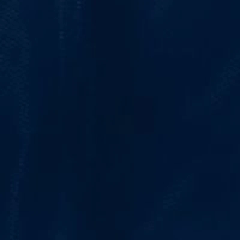 Arizona Wildcats NCAA Arizona Stadium Seat