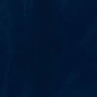 Arizona Wildcats NCAA Arizona Stadium Seat