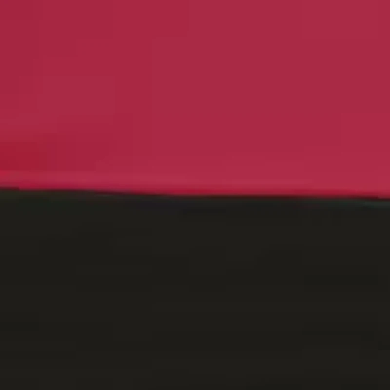 NCAA Arkansas Razorbacks 9 ft x 9 ft Economy Tent