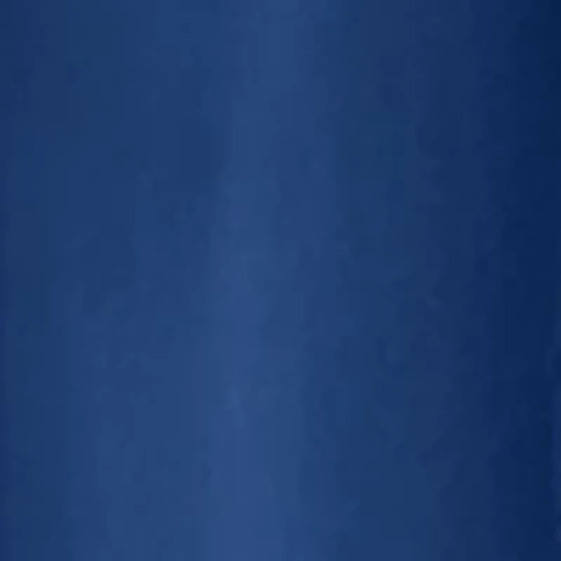 Auburn Tigers NCAA Auburn 14oz Relief Mug