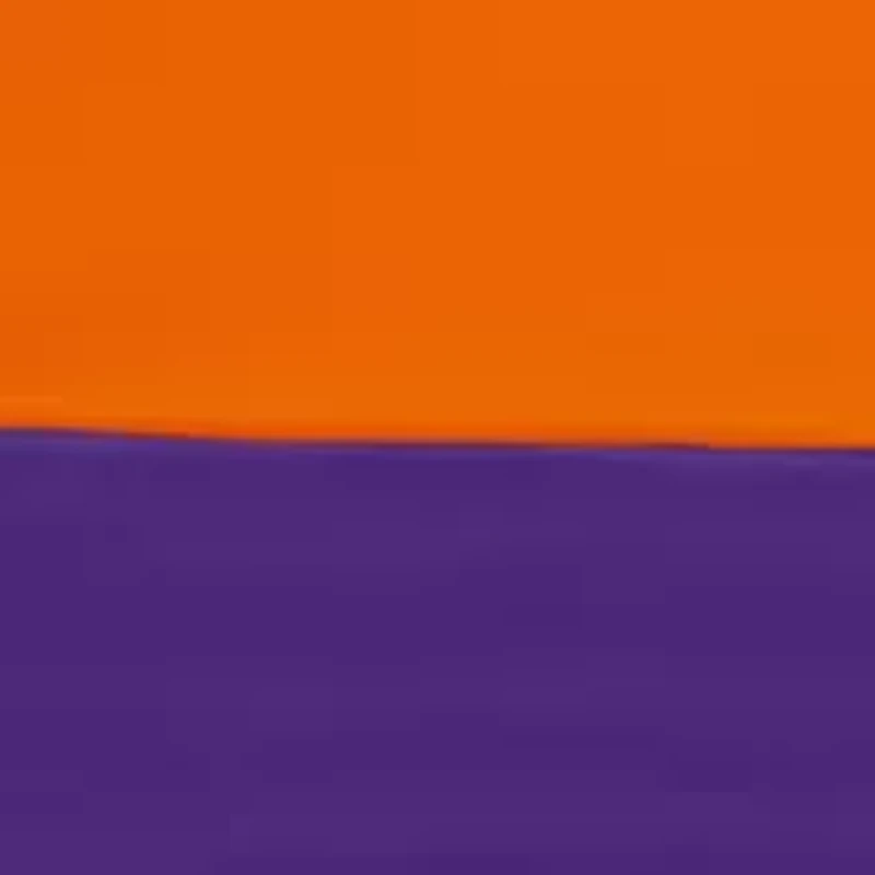 NCAA Clemson Tigers 9 ft x 9 ft Economy Tent