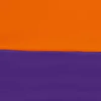 NCAA Clemson Tigers 9 ft x 9 ft Economy Tent