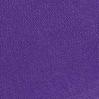 East Carolina Pirates NCAA East Carolina Bleacher Cushion