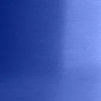 NCAA Florida Gators 30oz. Gameday Stainless Tumbler