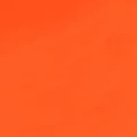 NCAA Illinois Fighting Illini 9 ft x 9 ft Economy Tent