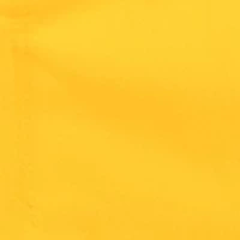 Iowa Hawkeyes NCAA Iowa Elite Chair