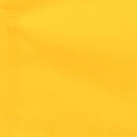 Iowa Hawkeyes NCAA Iowa Elite Chair