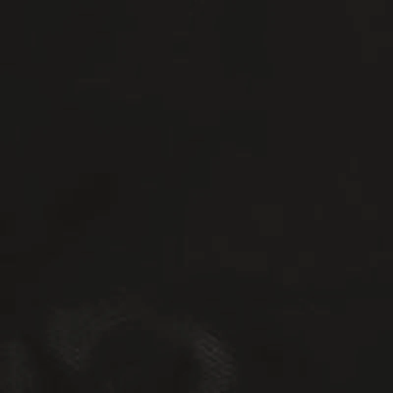 Iowa Hawkeyes NCAA Iowa Stadium Seat