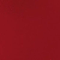 Louisville Cardinals NCAA Louisville 30oz Flipside Powder Coat Tumbler