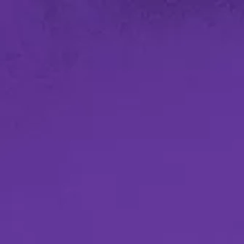 NCAA LSU Tigers 20.5 Inch x 32 Inch x 32 Inch Quad Chair 