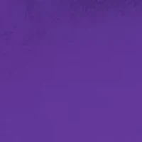 NCAA LSU Tigers 20.5 Inch x 32 Inch x 32 Inch Quad Chair 