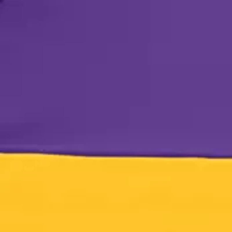  NCAA LSU Tigers 9 ft x 9 ft Economy Tent  