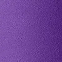 LSU Tigers NCAA LSU 20oz Flipside Powder Coat Tumbler