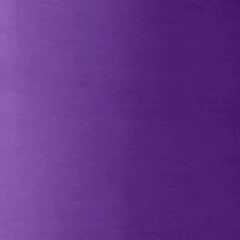 LSU Tigers NCAA LSU 20oz Stainless Tumbler