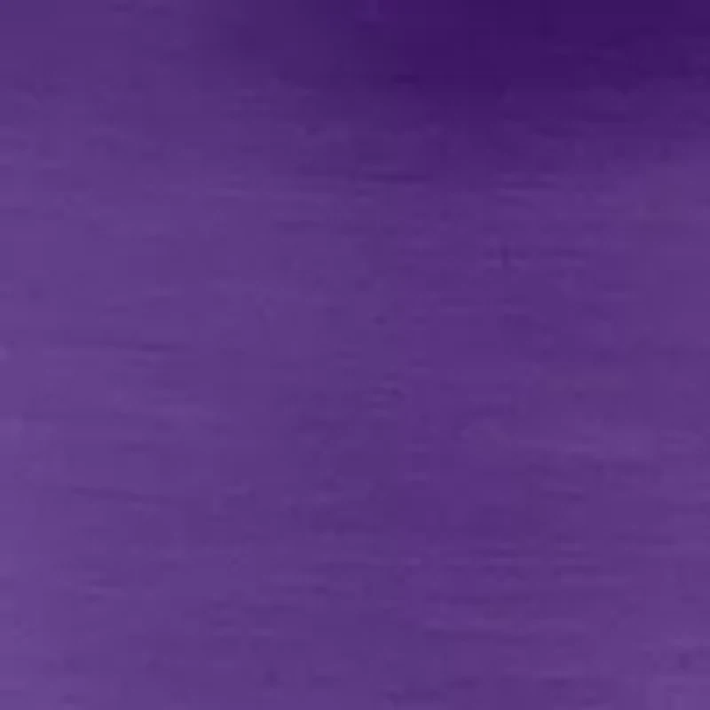 LSU Tigers NCAA LSU Gameday 30 oz Stainless Tumbler