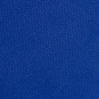 Memphis Tigers NCAA Memphis Bleacher Cushion