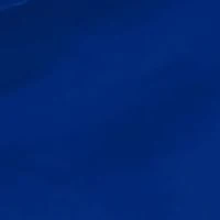Memphis Tigers NCAA Memphis Stadium Seat