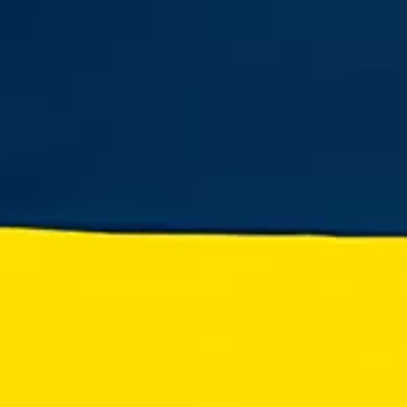  NCAA Michigan Wolverines 9 ft x 9 ft Economy Tent  