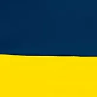  NCAA Michigan Wolverines 9 ft x 9 ft Economy Tent  