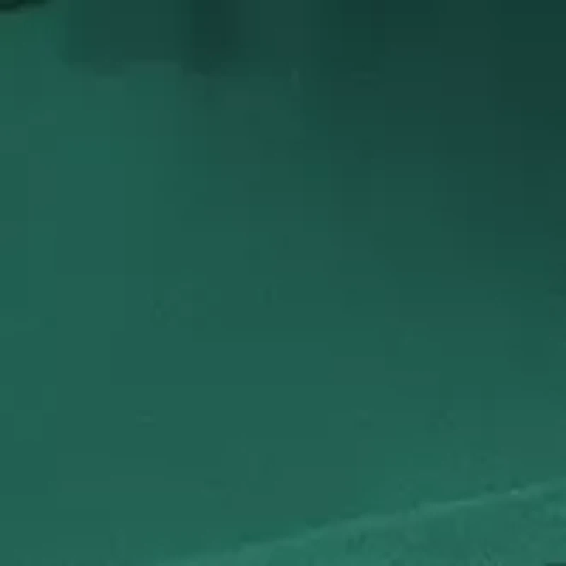  NCAA Michigan State Spartans Elite Chair