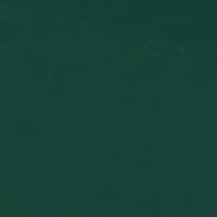  NCAA Michigan State Spartans 30 Inch x 30 Inch x 24 Inch Round Table  