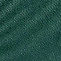 Michigan State Spartans NCAA MI State Bleacher Cushion