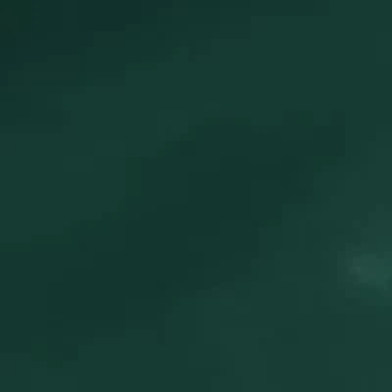 Michigan State Spartans NCAA MI State Stadium Seat