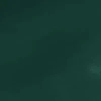 Michigan State Spartans NCAA MI State Stadium Seat