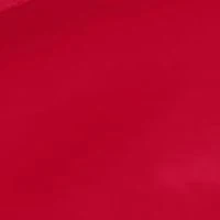 Nebraska Cornhuskers NCAA Nebraska Stadium Seat