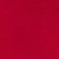Nebraska Cornhuskers NCAA Nebraska 16oz Flipside Powder Coat Curved Beverage