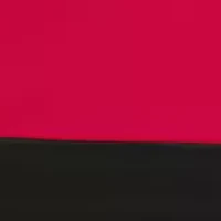  NCAA NC State Wolfpack Checkerboard Tent  