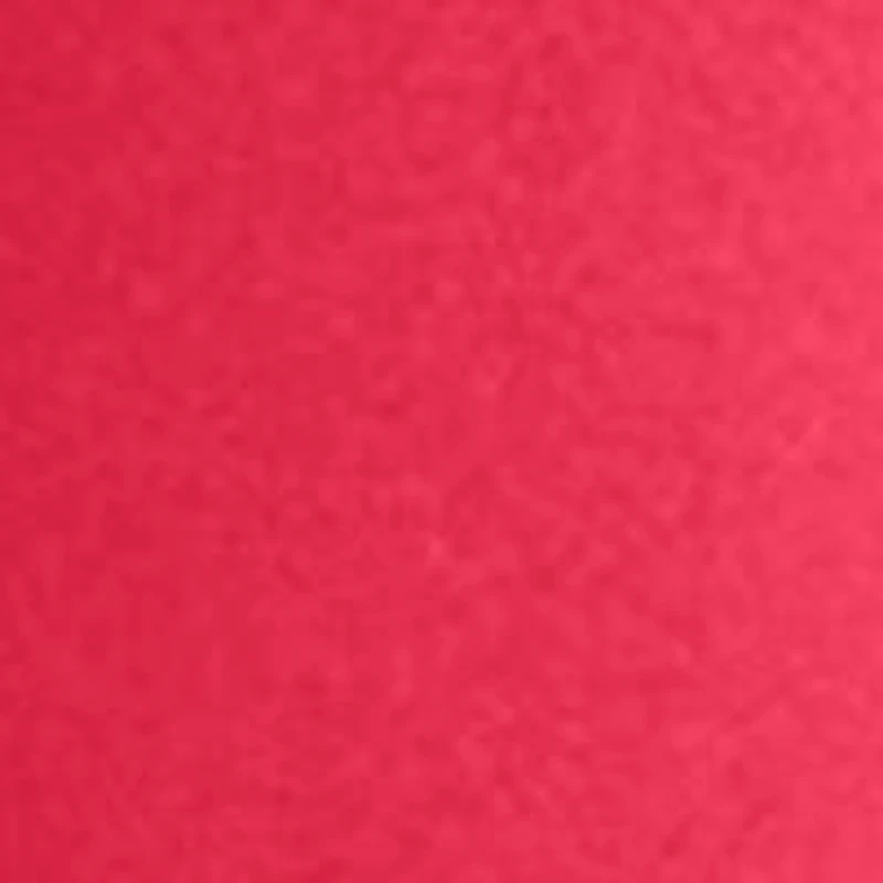 Ohio State Buckeyes NCAA Ohio State Flipside Powder Coat Slim Can Coolie