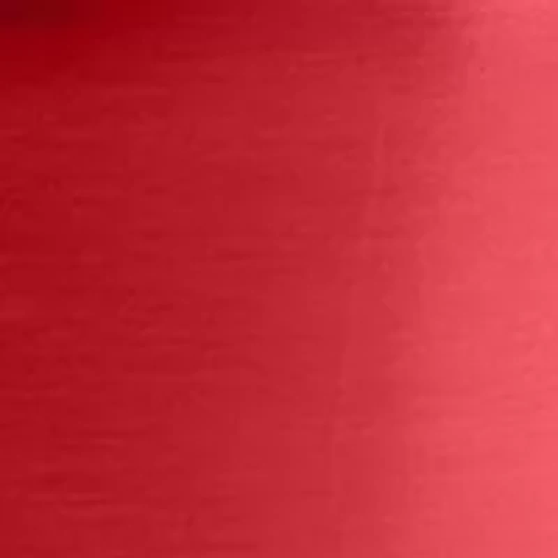 Ohio State Buckeyes NCAA Ohio State 30oz Gameday Stainless Tumbler