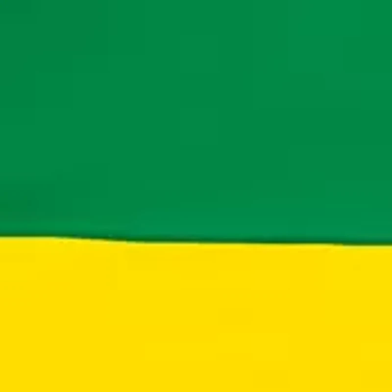  NCAA Oregon Ducks 9 ft x 9 ft Economy Tent  