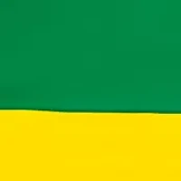  NCAA Oregon Ducks 9 ft x 9 ft Economy Tent  