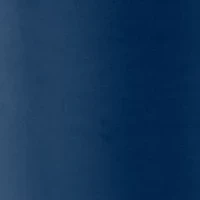 Penn State Nittany Lions NCAA Penn State 20oz Gameday Stainless Tumbler